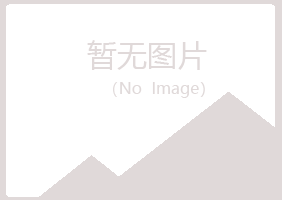 鹤岗东山雪枫建设有限公司